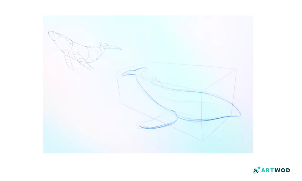 Step 3:&nbsp;Drawing Whales: Realistic and Stylised Marine Art