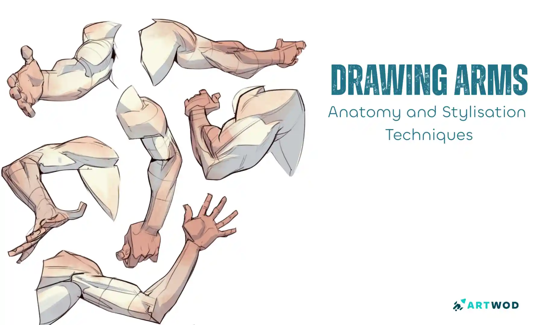 How to Draw Arms: Anatomy and Stylised Figure Drawing Tips