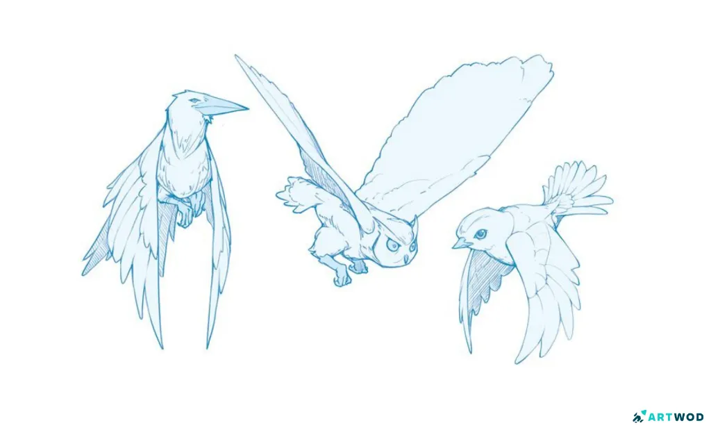 Vogelskizzen, digital 2d