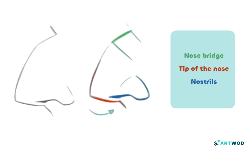 Schritt 1: Nasen zeichnen: Realistische und stilisierte Techniken
