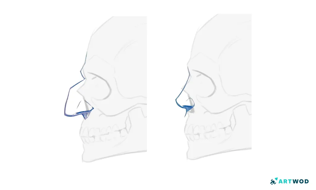 Schritt 3: Nasen zeichnen: Realistische und stilisierte Techniken