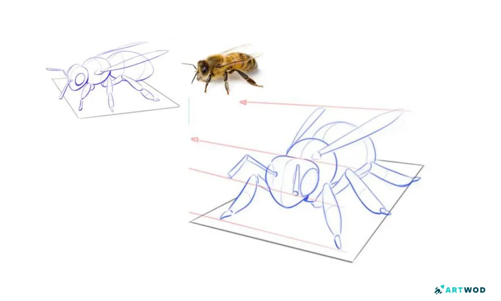 Digital drawing from reference: study of a bee made digitally 2d with blue pen. Next to the study there's an image of the same bee from different angle with clear perspective lines