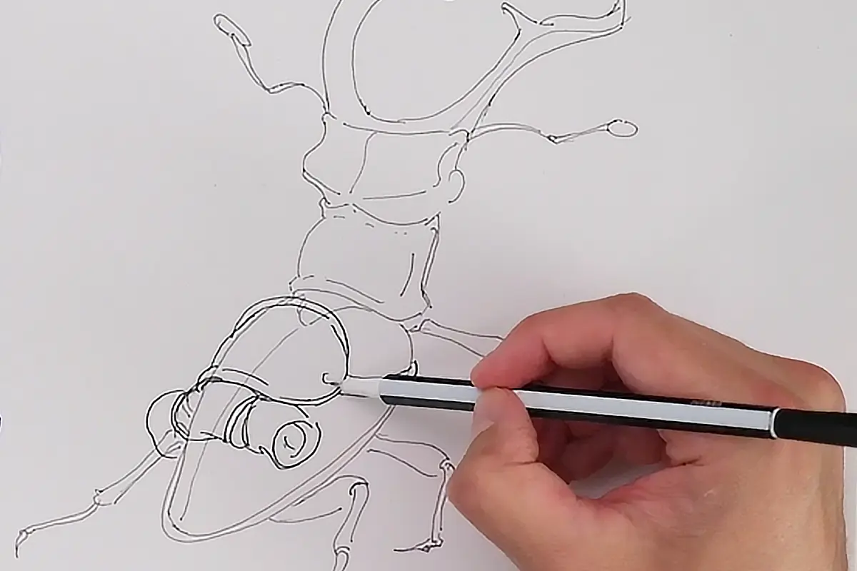 Let's give 'em a saddle giddy up!