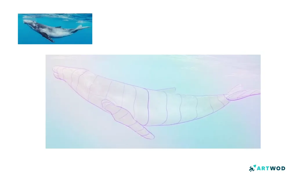 Step 2:&nbsp;Drawing Whales: Realistic and Stylised Marine Art