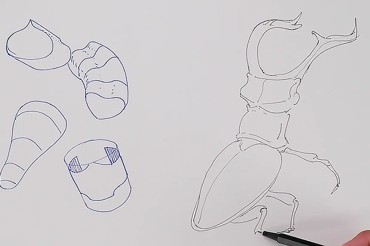 Whoah! See I am applying those manipulated forms!