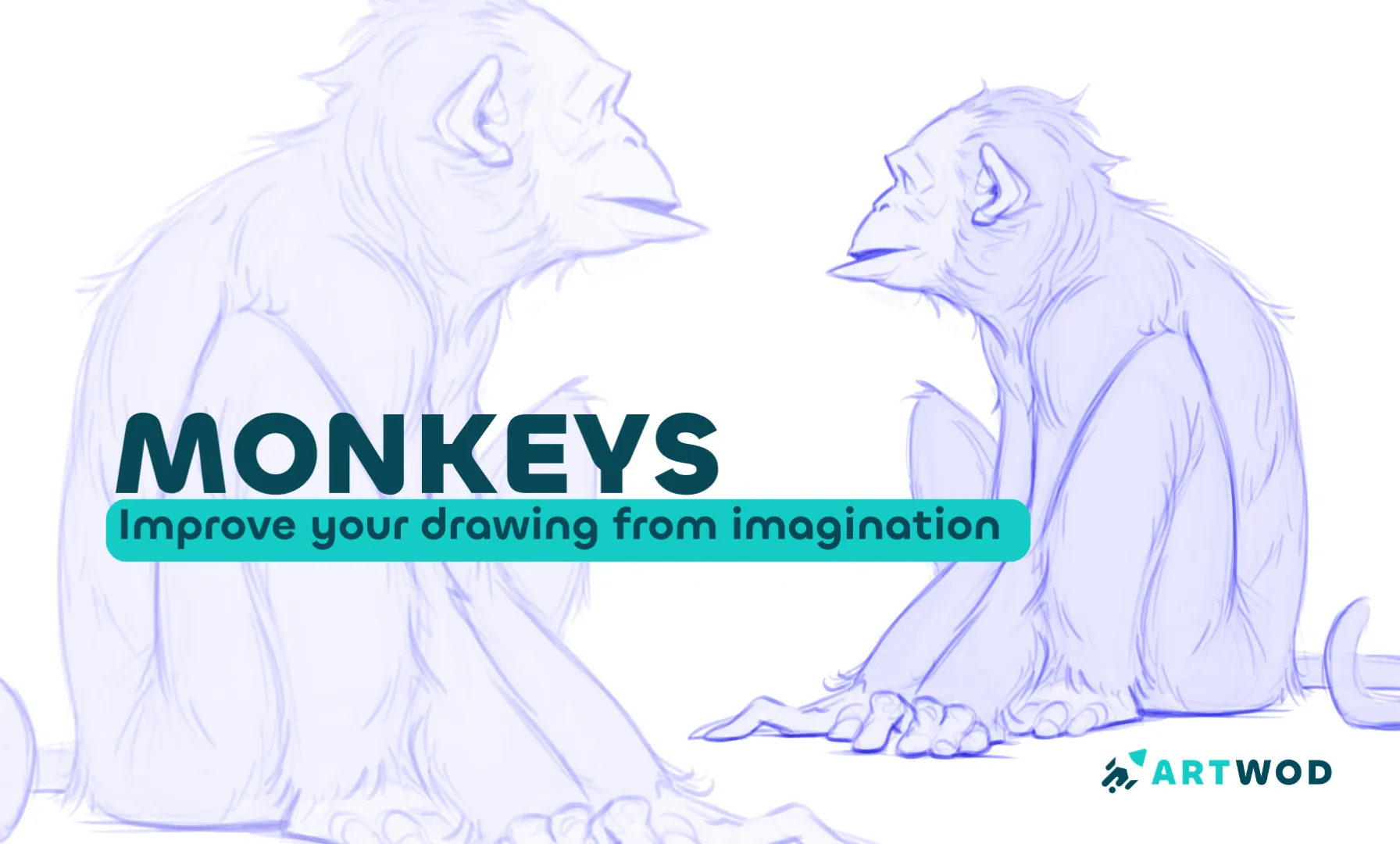 How to Draw Monkeys for Beginners, 15 Minute Guide
