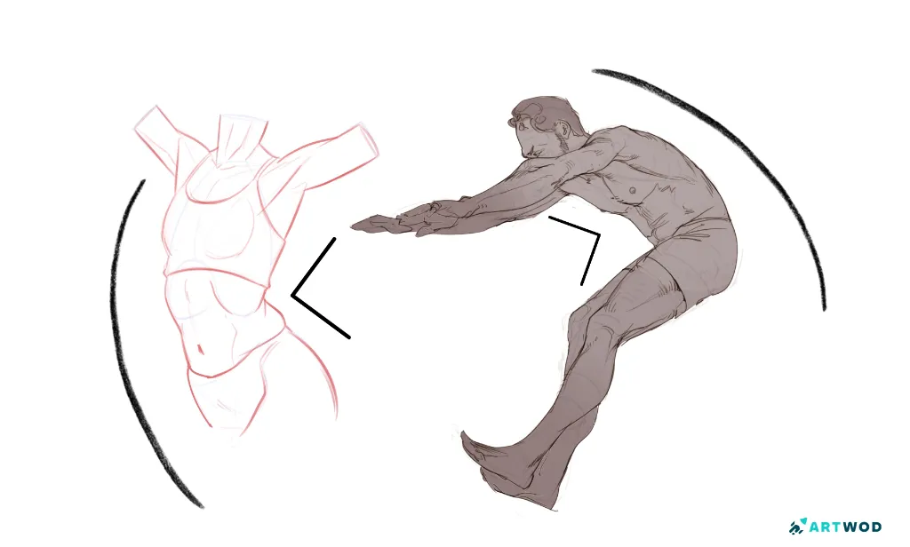 2 figure drawings, 2d, digital. Pinch versus stretch principle, one side is always a smooth curve, other one is more pinched