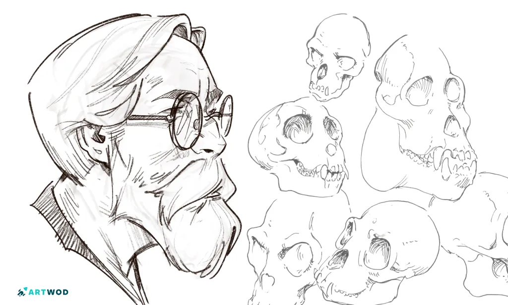 Drawings by Antonio Stappaerts, an old man in glasses and a collection od monkey skulls. Drawn in black pen.