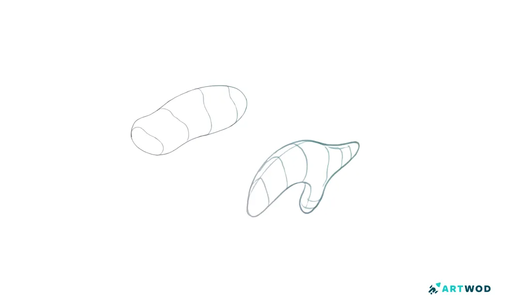 Step 1:&nbsp;Drawing Whales: Realistic and Stylised Marine Art