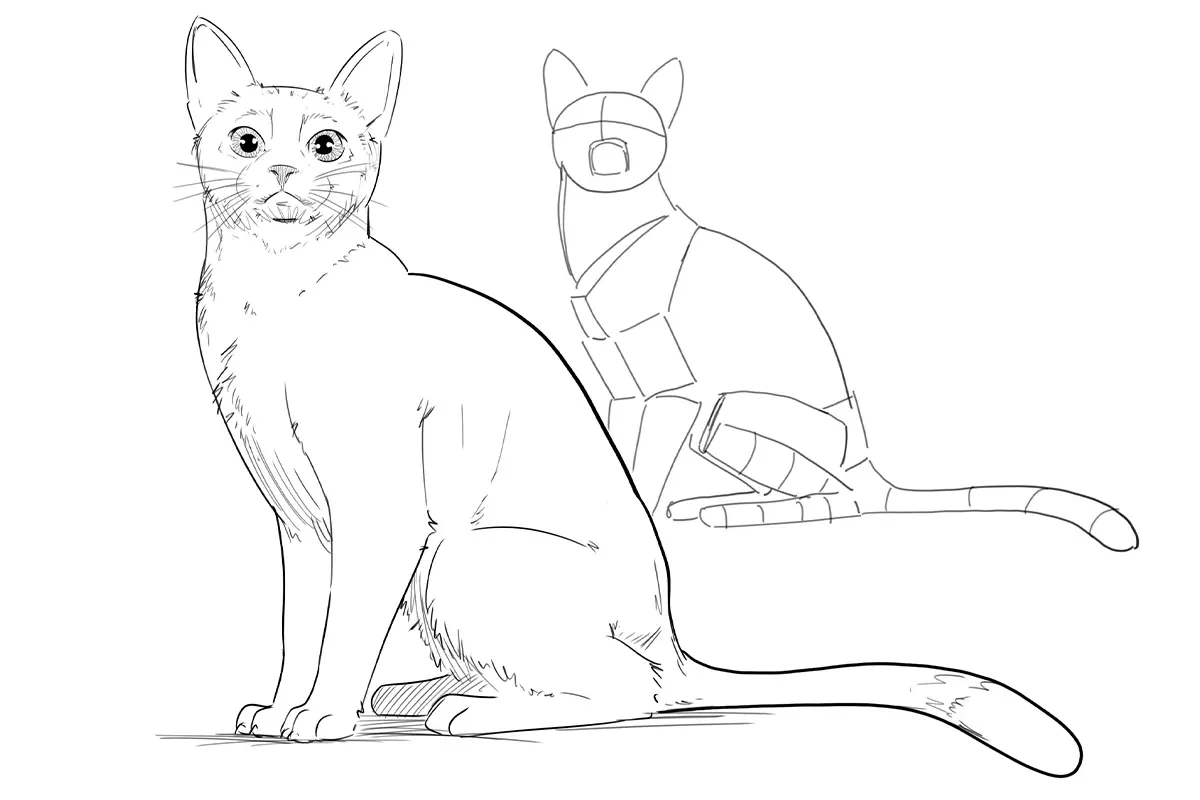 How to Draw Cats: A Step-by-Step Guide for Complete Beginners