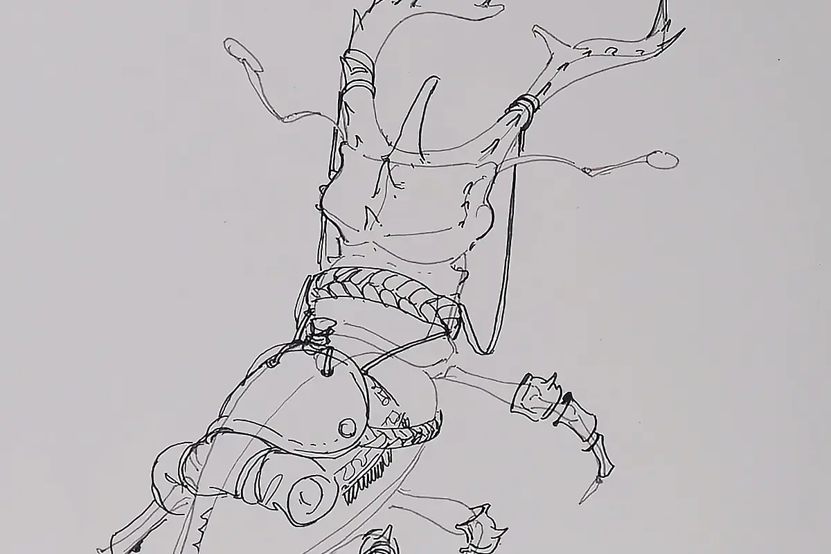 EVOLUTION! BEHOLD THE WAR BEETLE! for mounted combat...