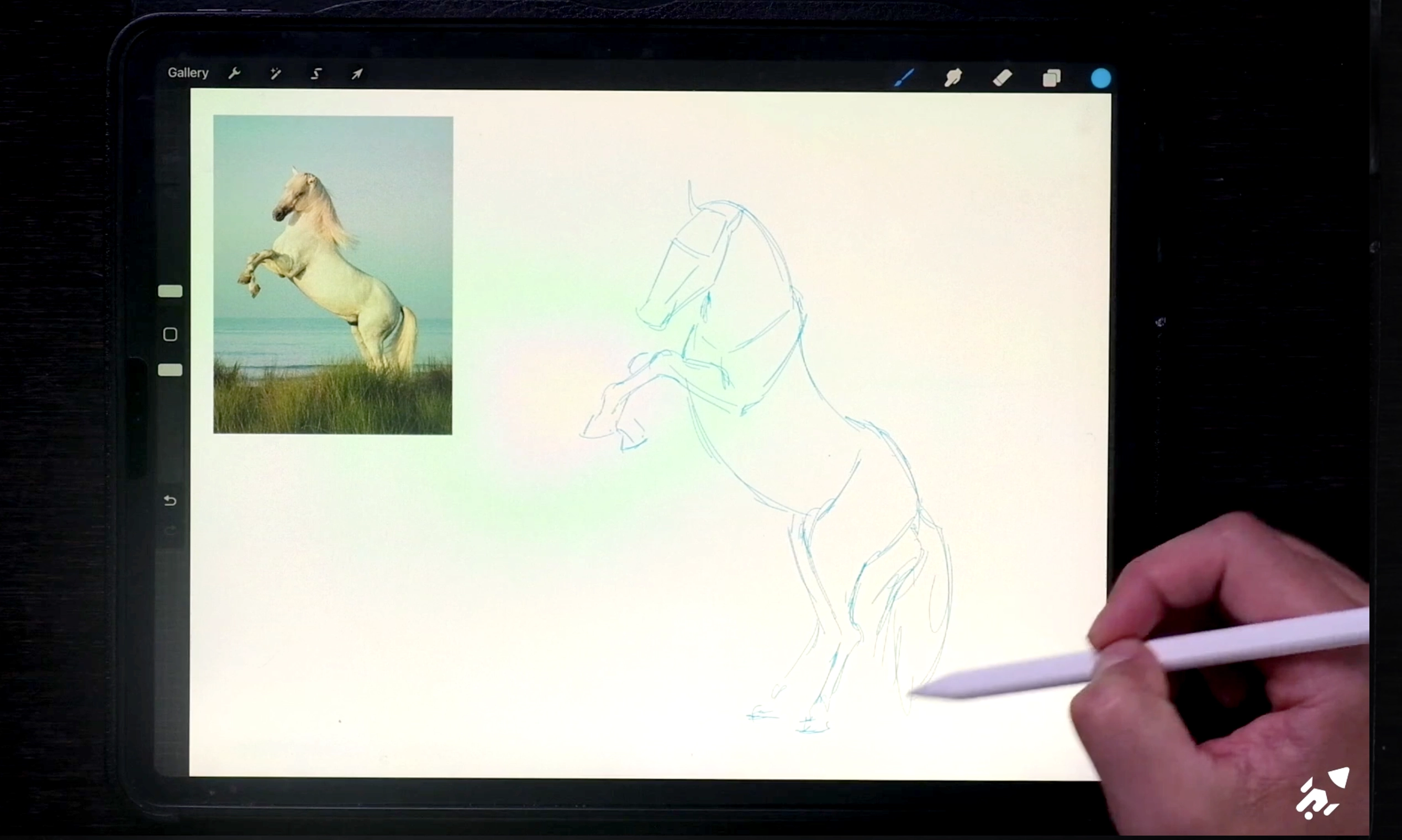 Drawing the reference using mannequin and gesture