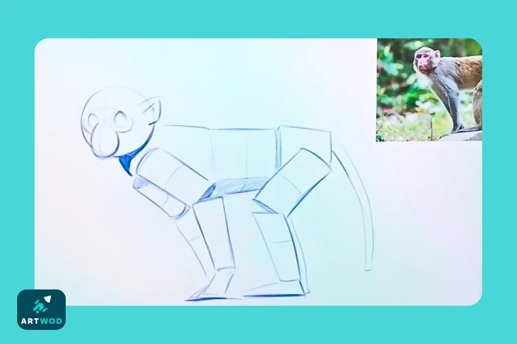 Step 3: Drawing monkeys from imagination