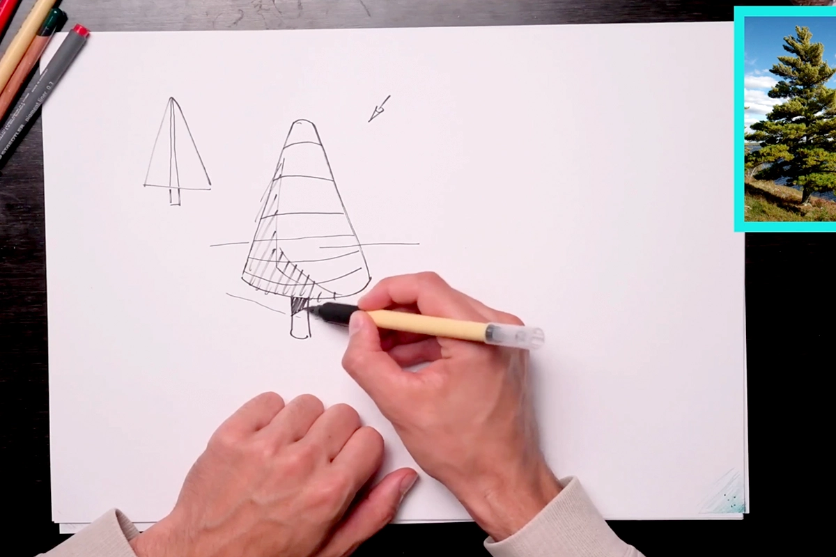 Cómo dibujar árboles en 3 sencillos pasos, image size:1200x800