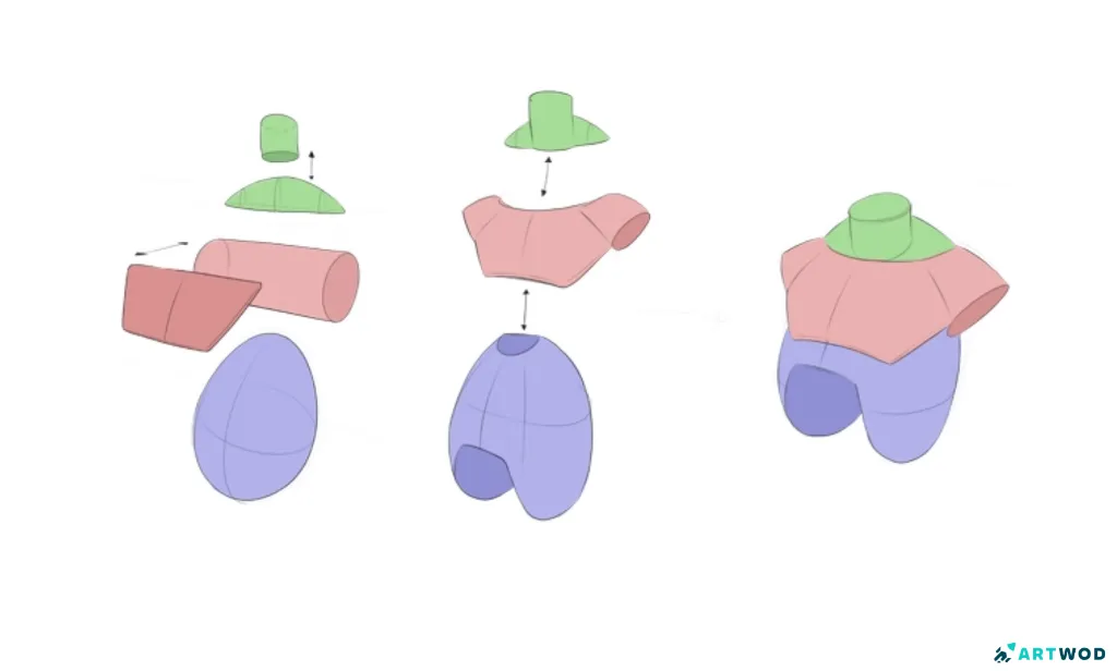 Torso simplification step-by-step