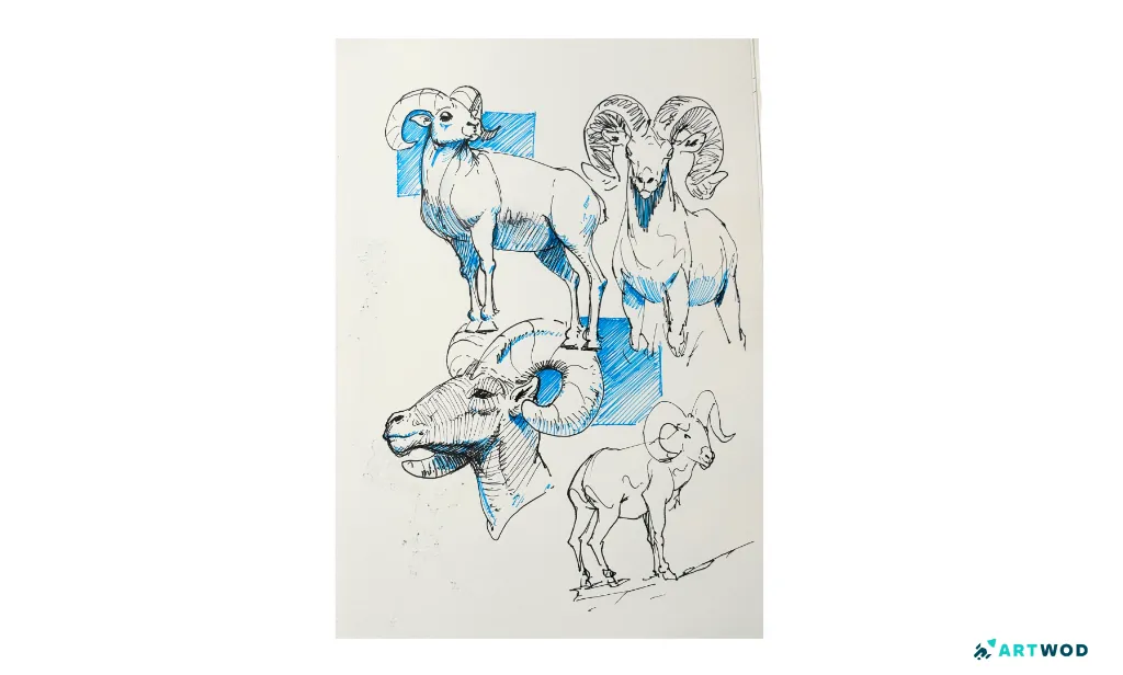 Traditional drawing by Antonio Stappaerts, sketchbook page filled with black and blue pen animal drawings (mountain goats).
