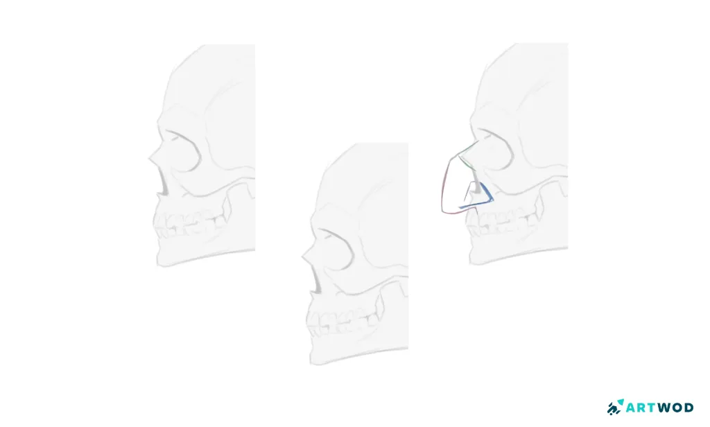 Schritt 2: Nasen zeichnen: Realistische und stilisierte Techniken
