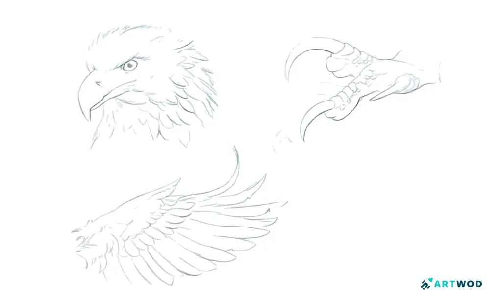 Step 2:&nbsp;Drawing Mythical Creatures: Fantasy Design Tips and Techniques