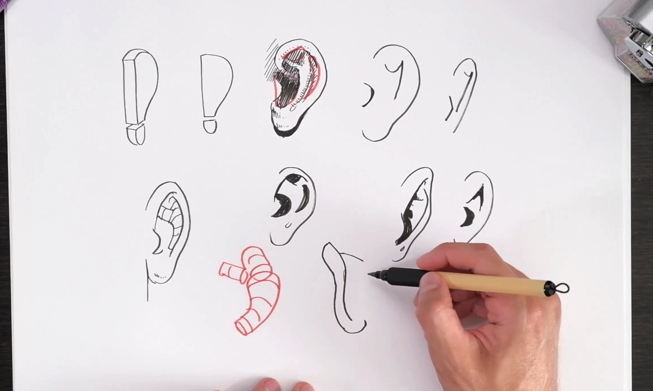 Drawing the facial features with more anatomy informed shapes