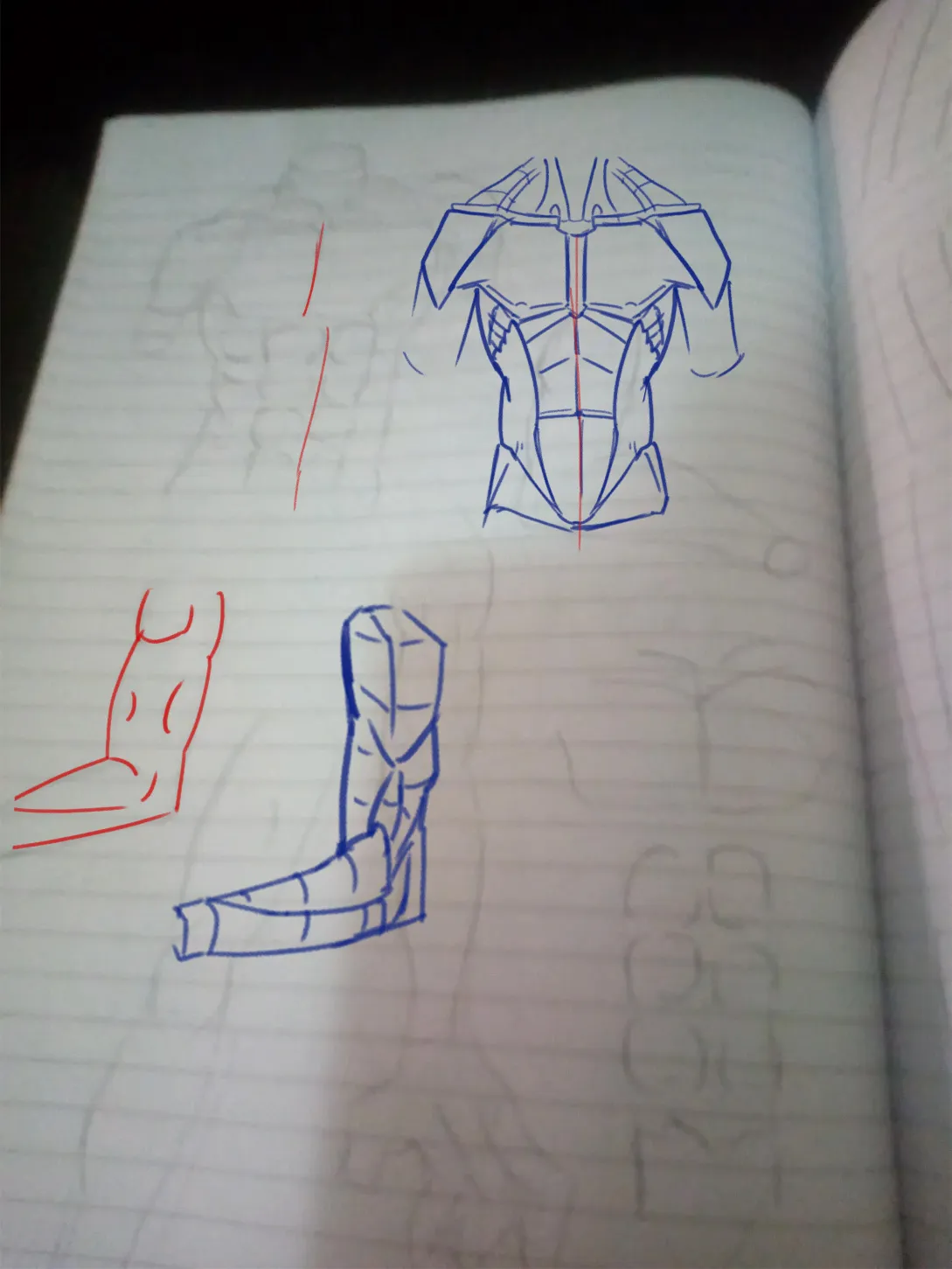 Anatomy study