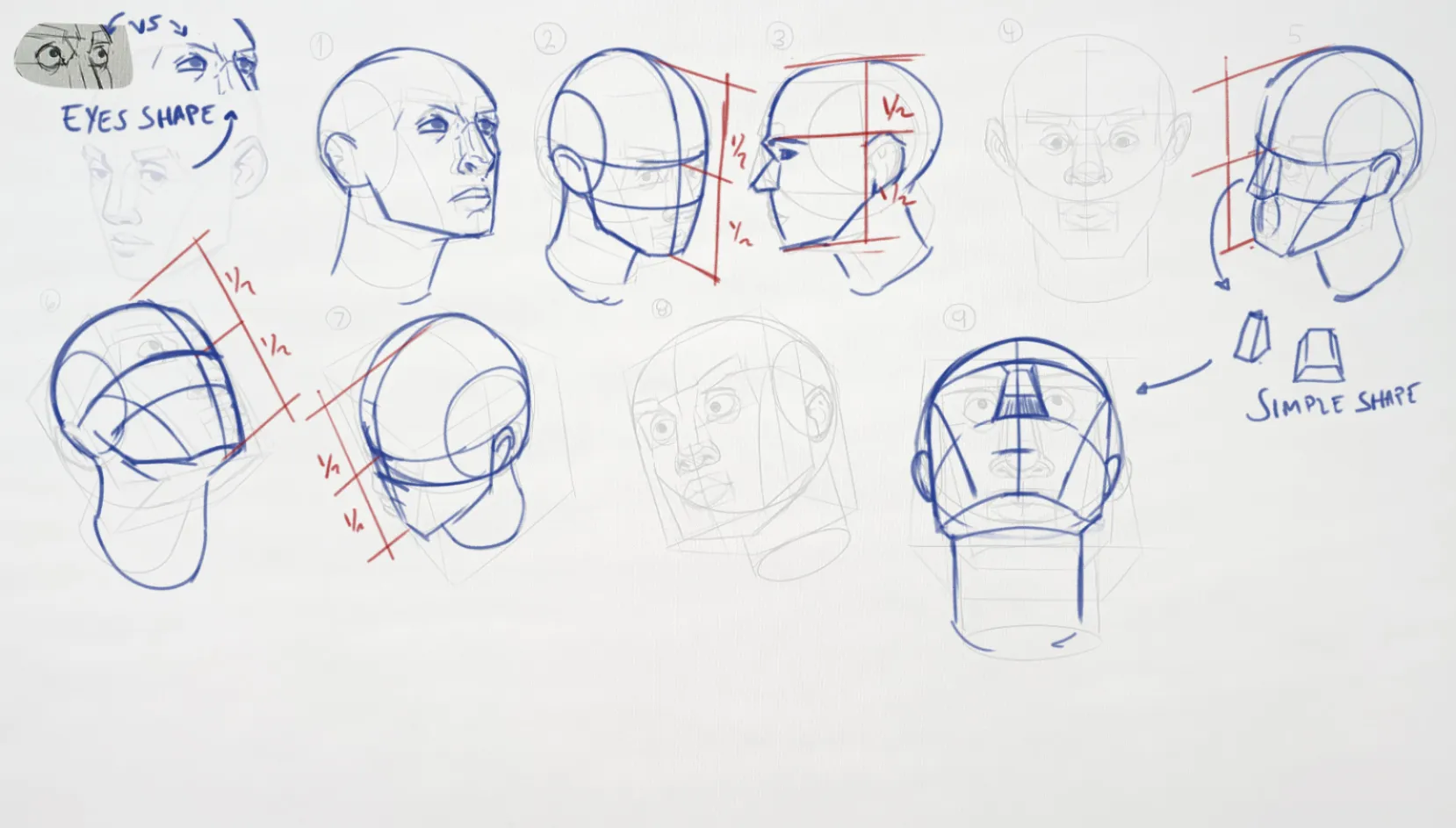 Portraiit Road Grind Node on Basic Anatomy