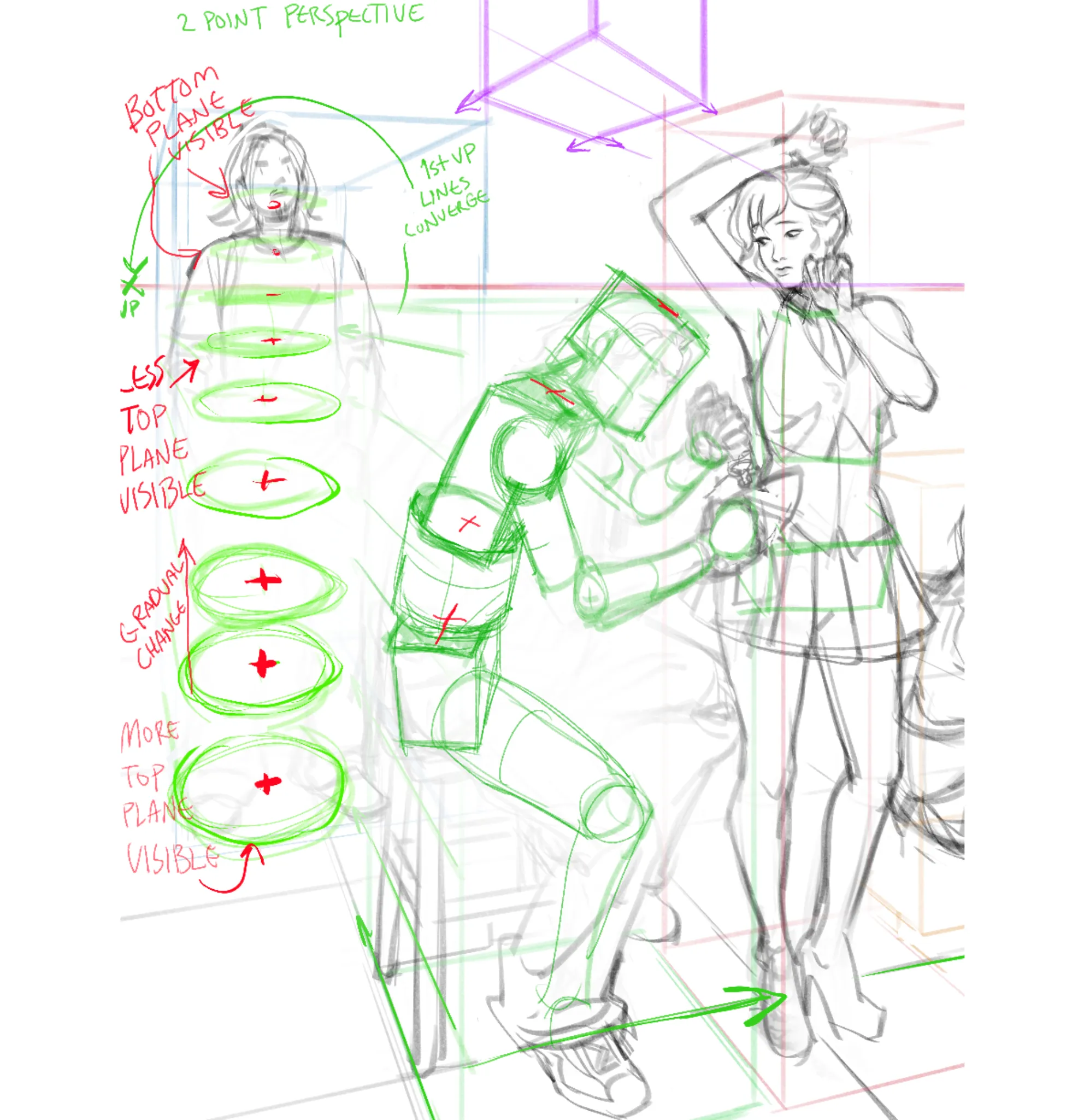 Perspective and proportions
