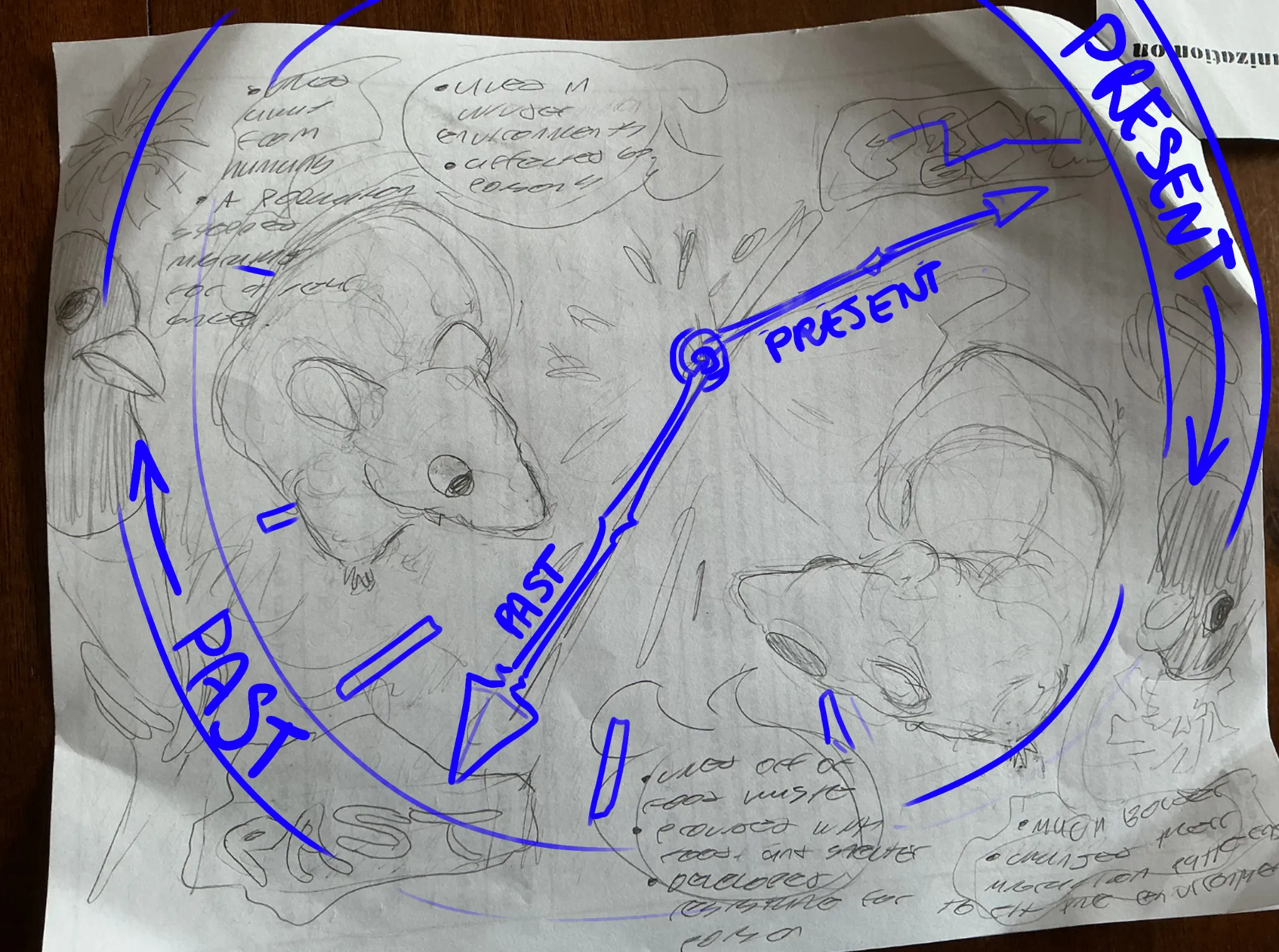 school project!