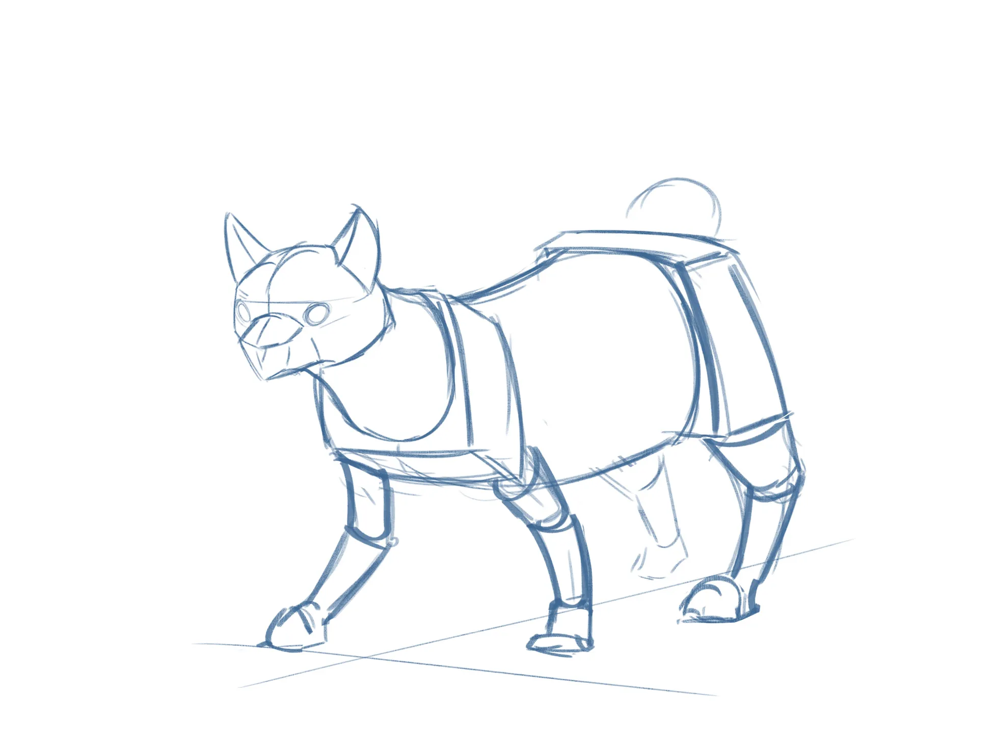 Bobtail Cat