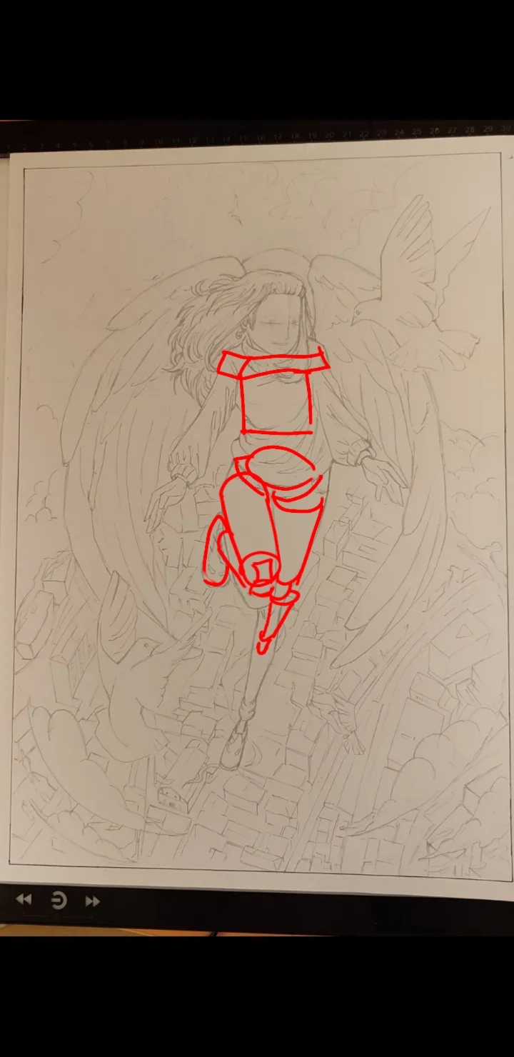 Problema of anatomy in perspective