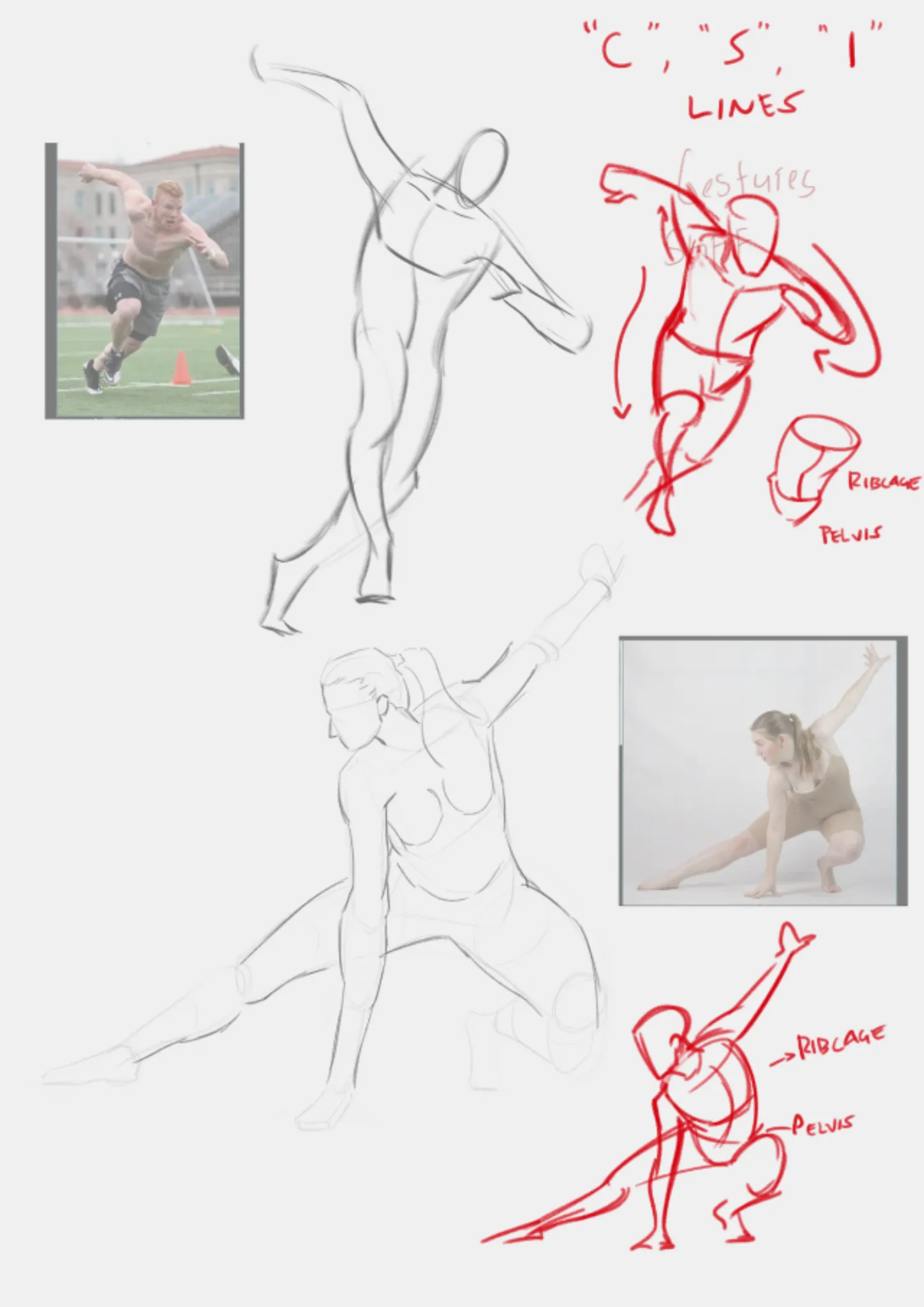 gesture study