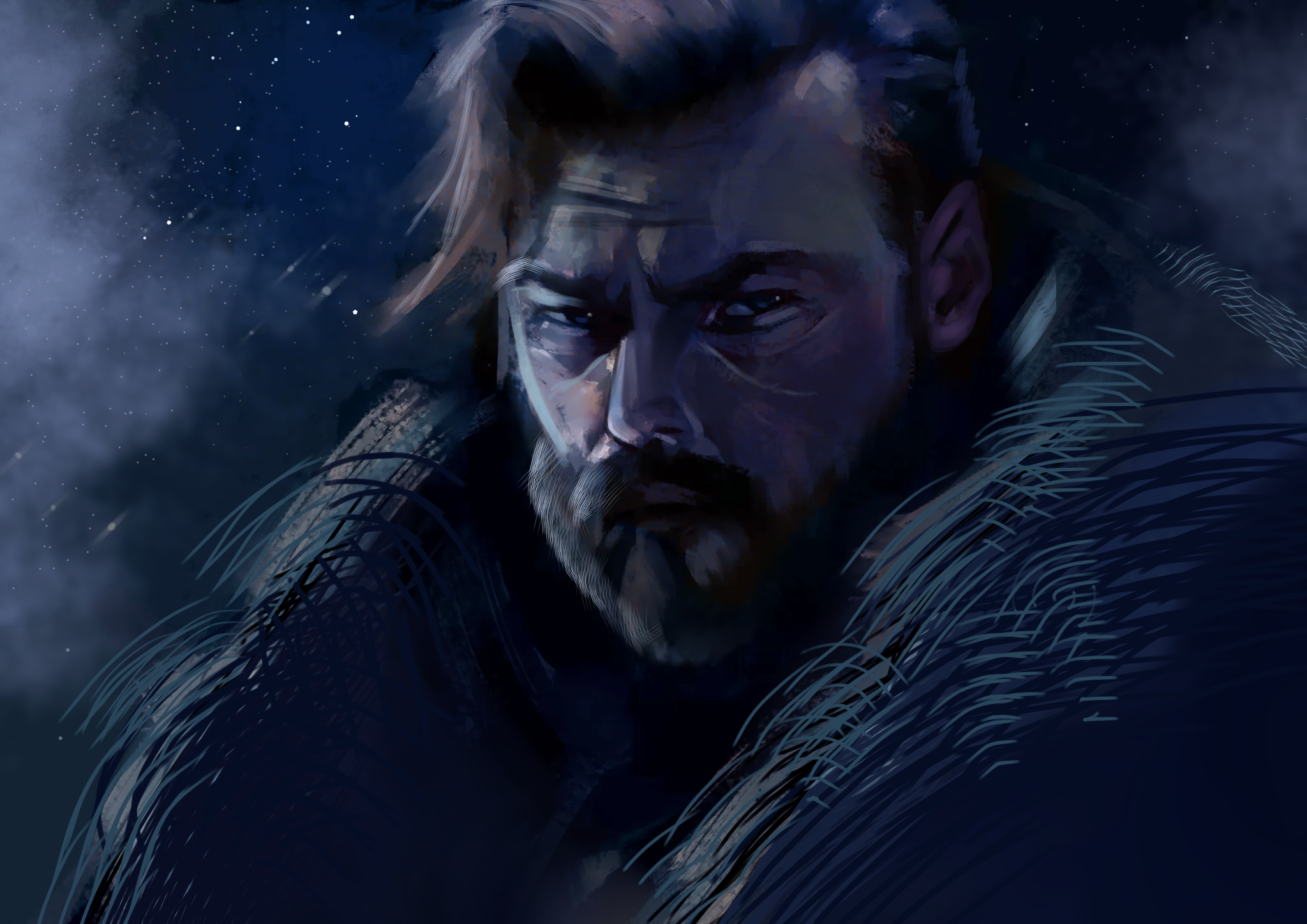 Viking night scene