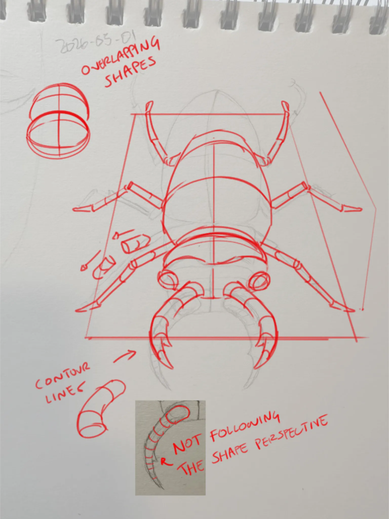 Bugged by a Beetle