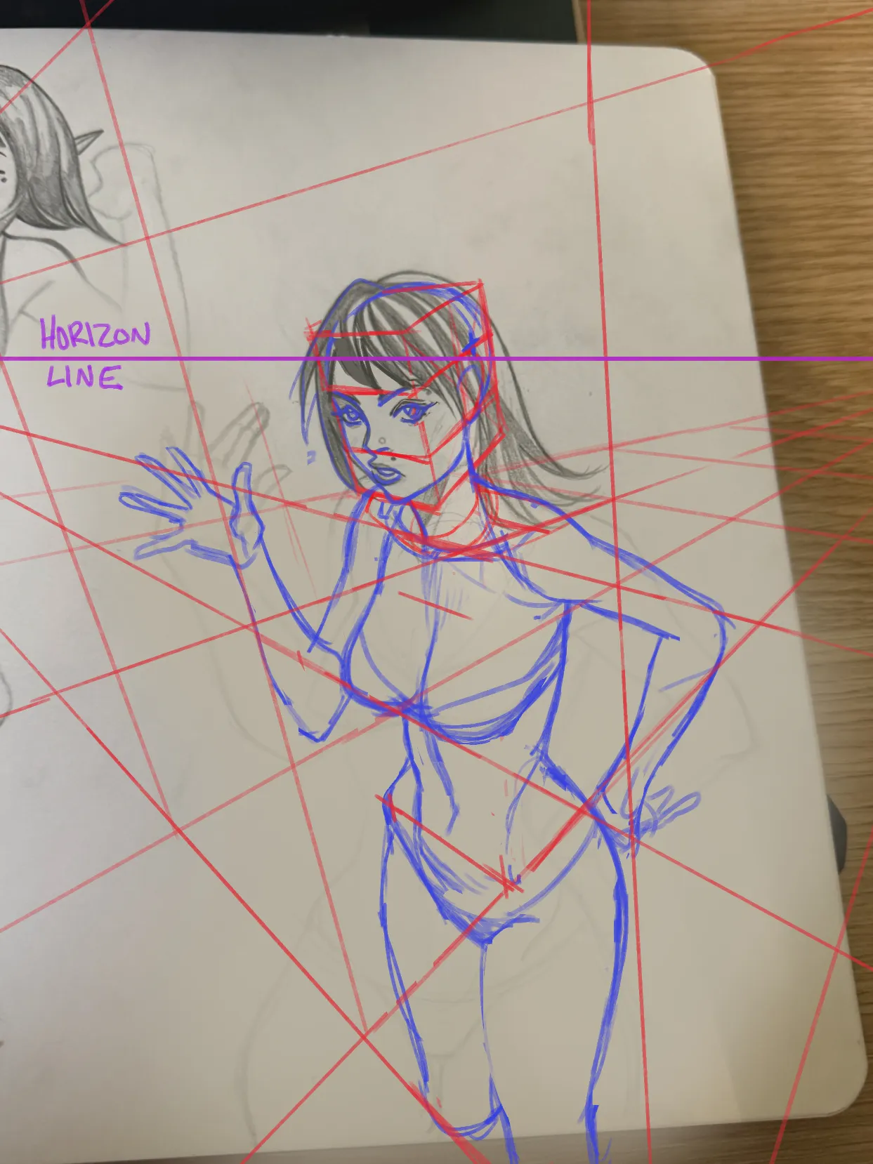 help w/ anatomy