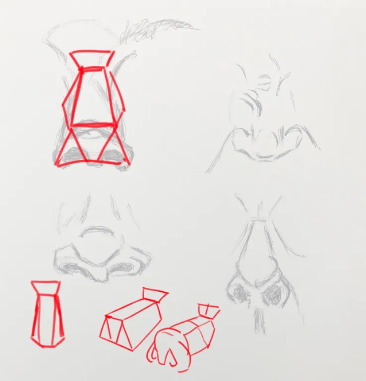 Noses and stuff