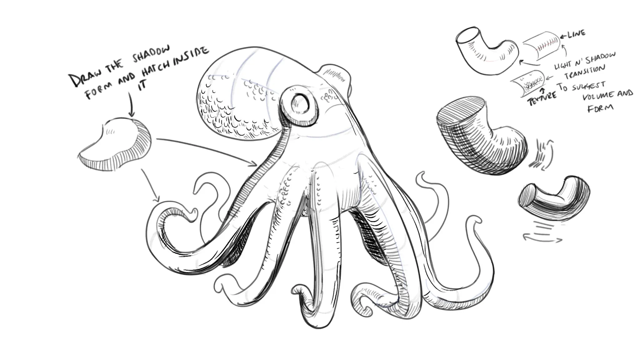 Indicating Organic Form