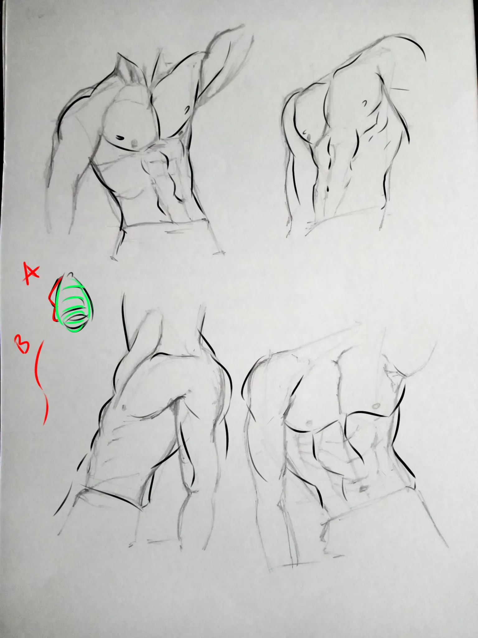 anime/ torso/anatomy/easy- anime torso drawing is supposed to be easy right?