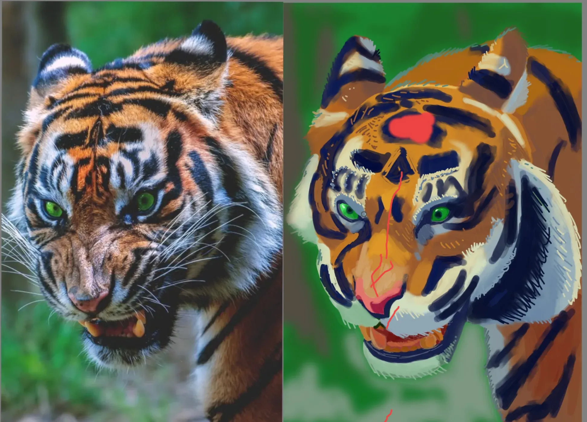 Tiger, of sorts