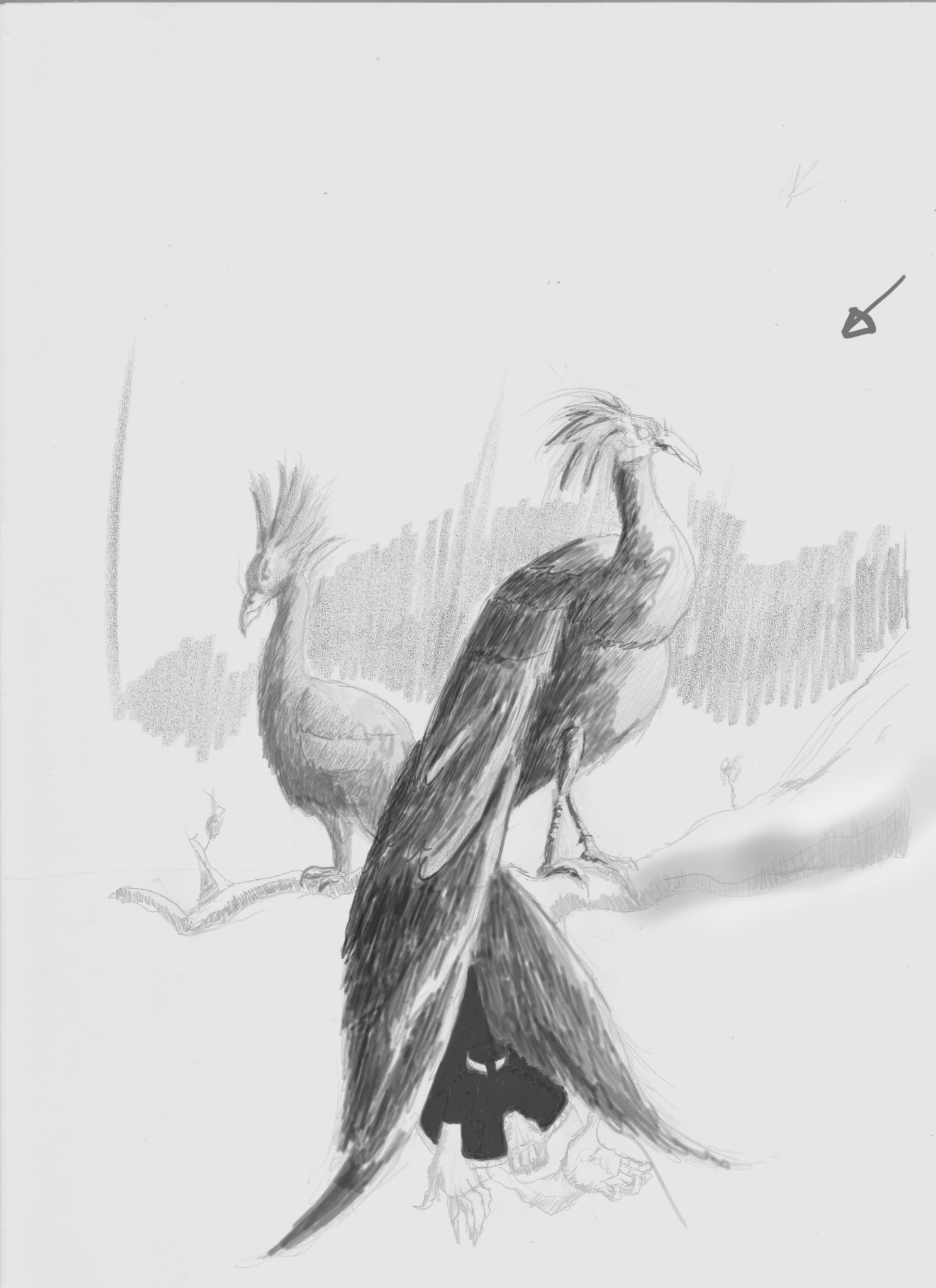 Day 15