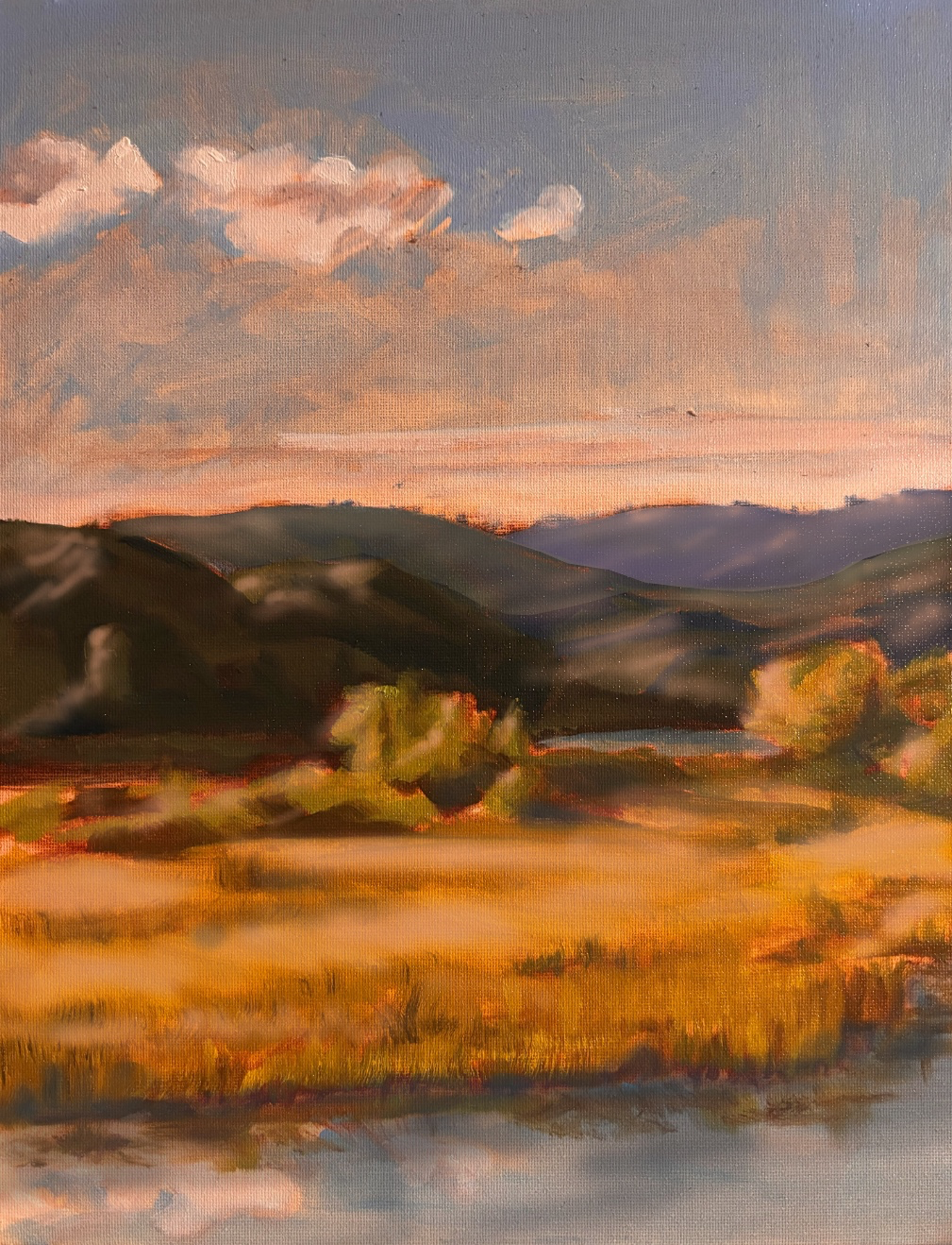 Tree by the River