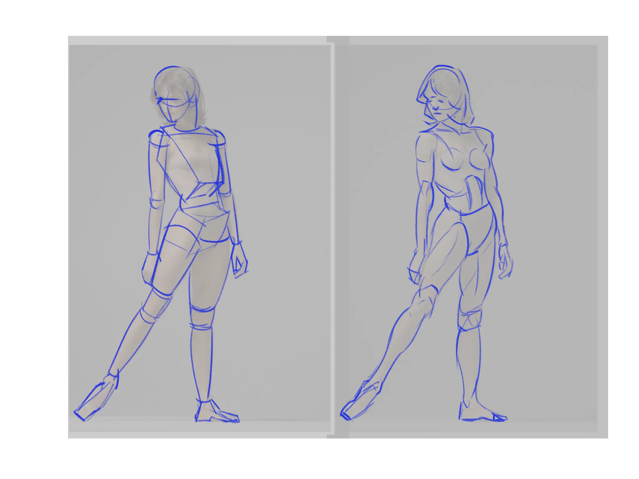 Anatomy with forms