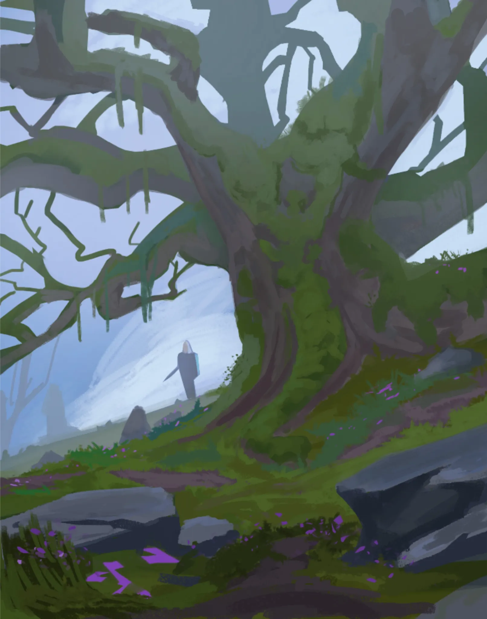The Witcher