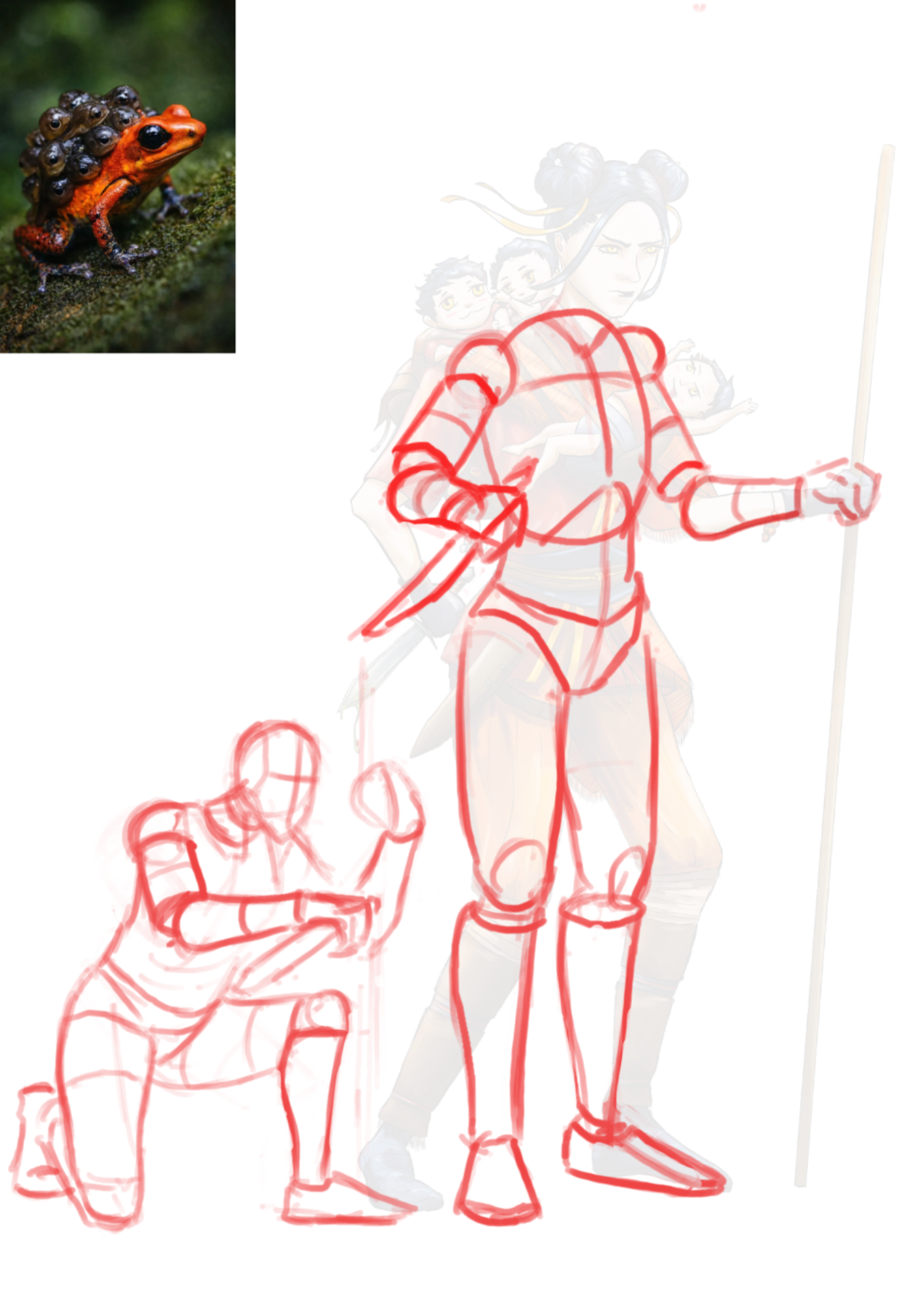 Concept core day 1 : Poison dart frog
