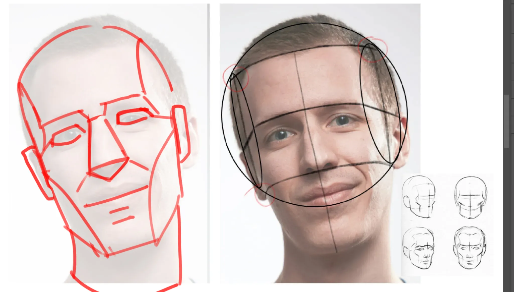 Head Structure