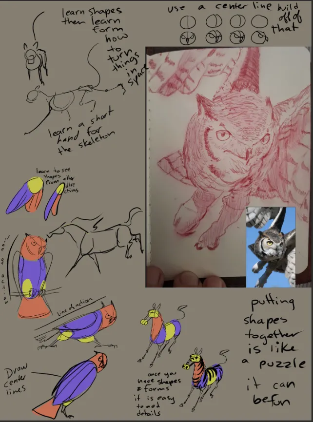 Owl from reference