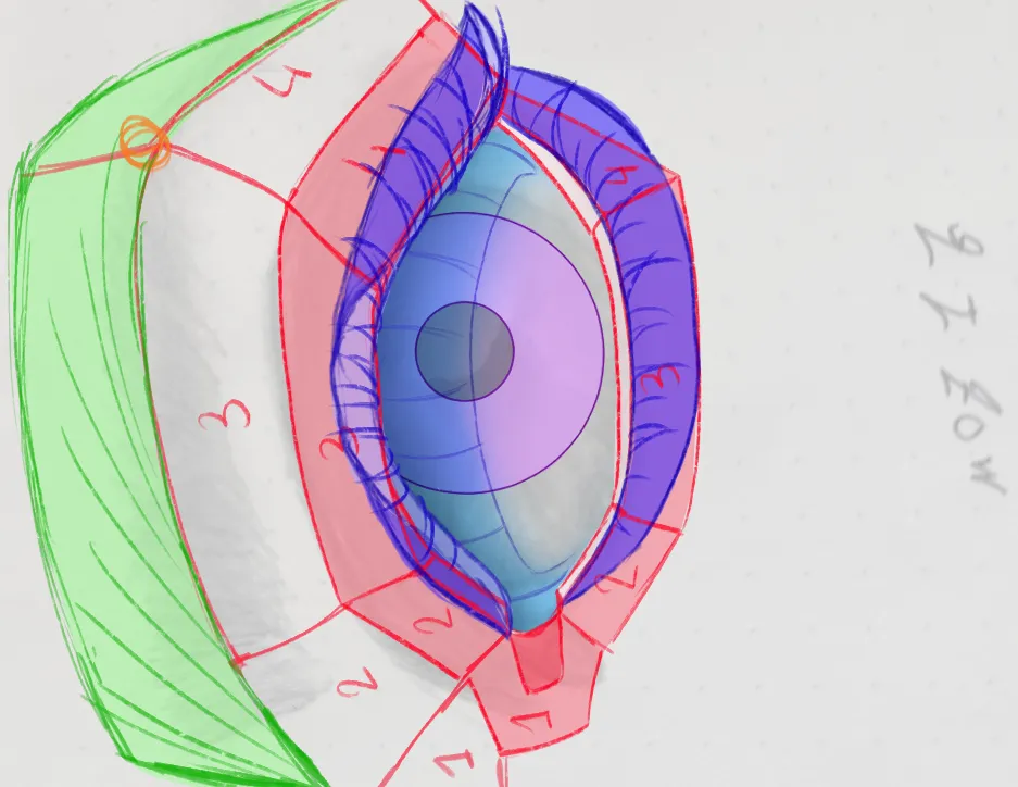Eyes