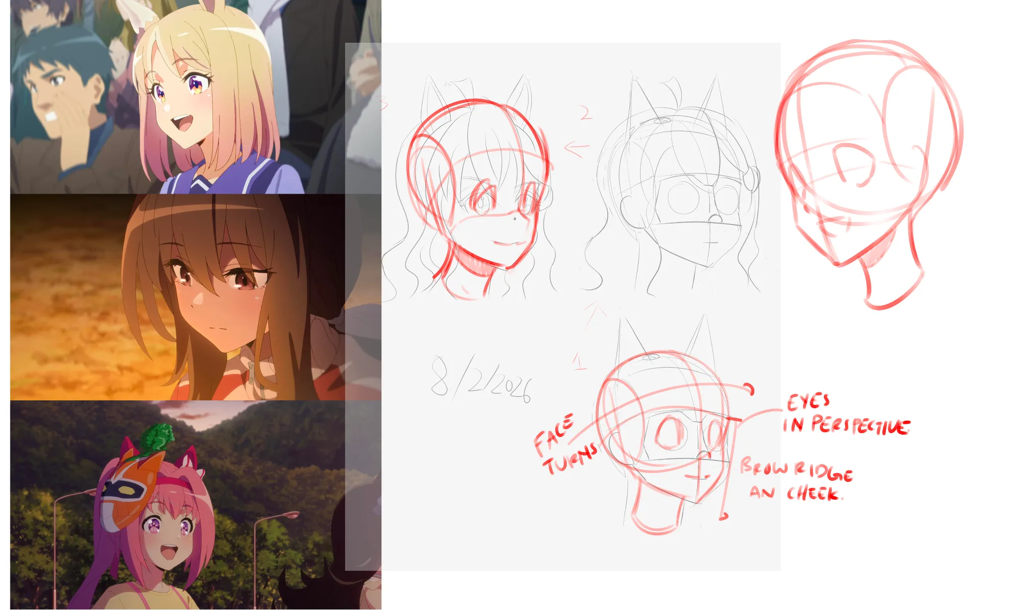 Head Angle Study