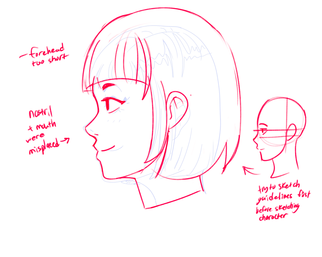 Anime girl head anatomy