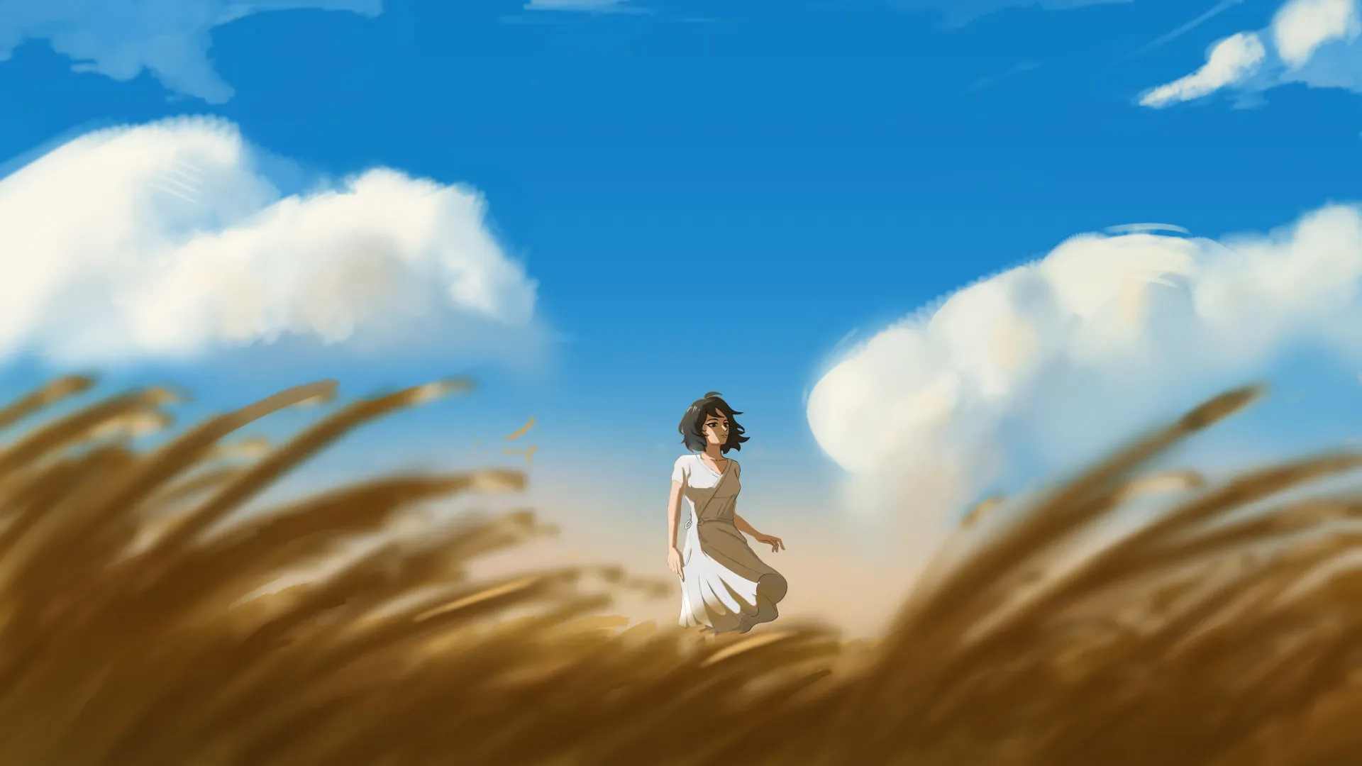 field