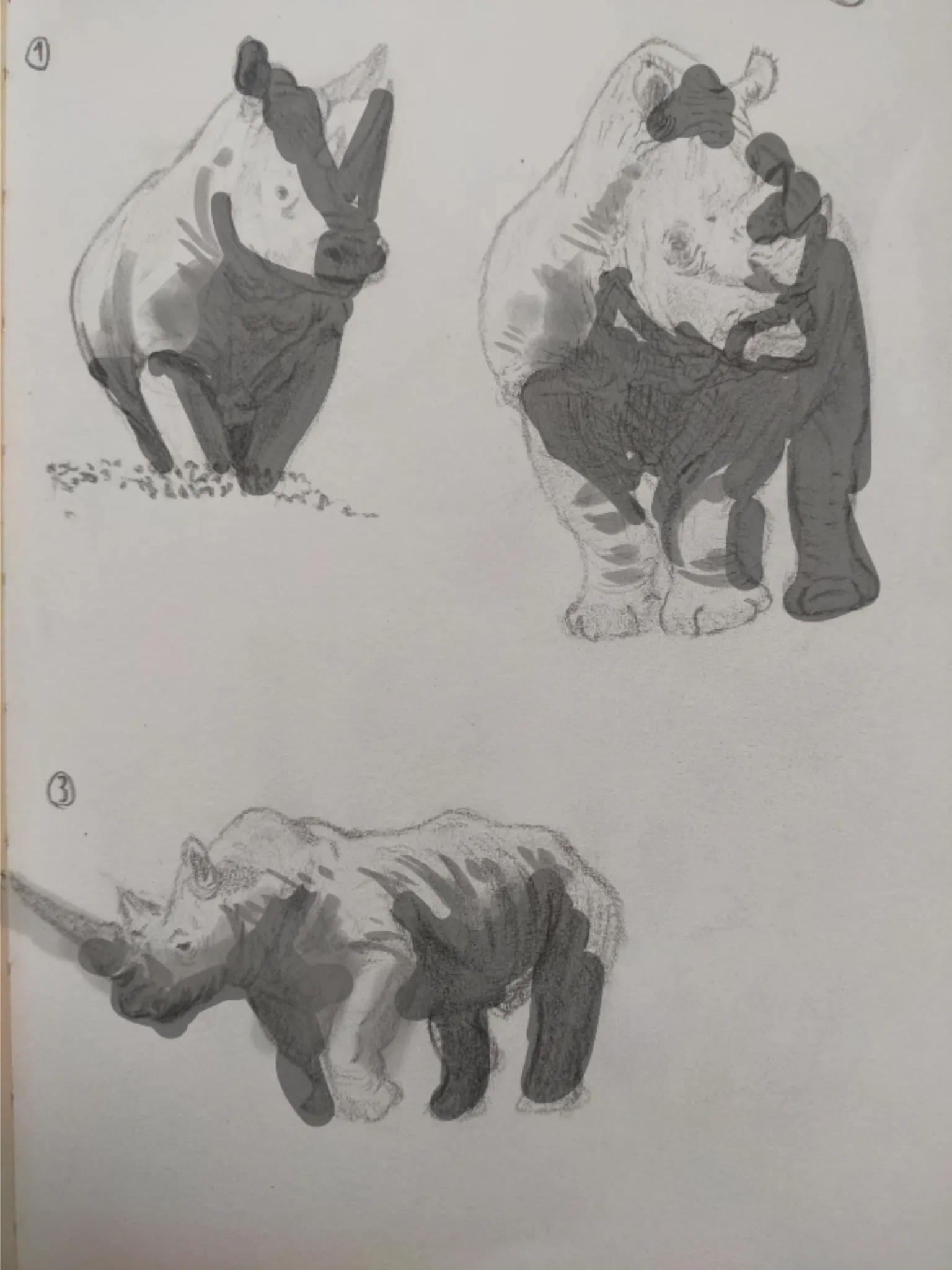 Rhino