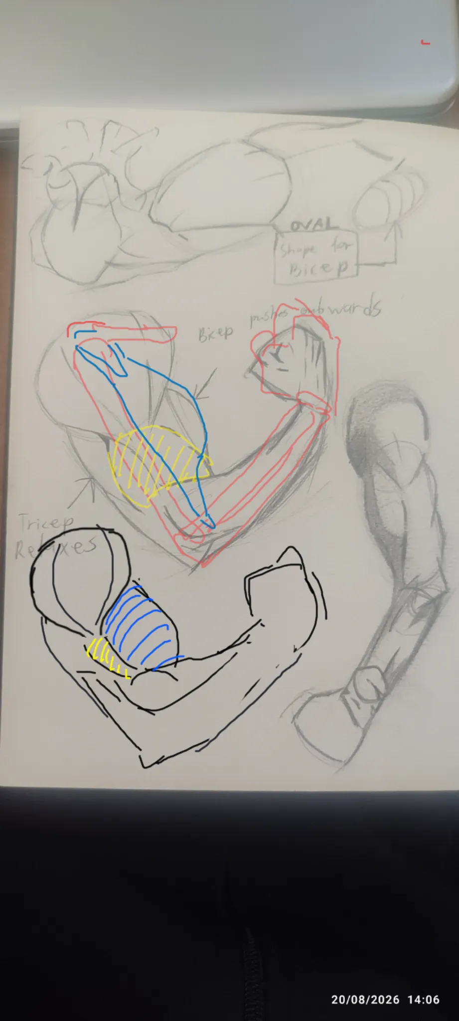 Arm study